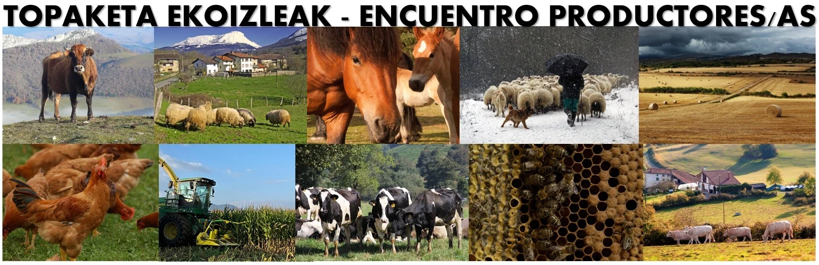 ENCUENTRO CON EL SECTOR AGROGANADERO DE GORBEIALDEA